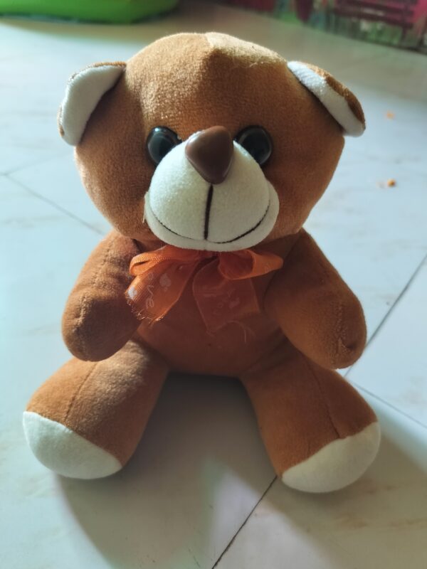 Small tady bear